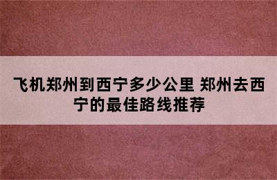 飞机郑州到西宁多少公里 郑州去西宁的最佳路线推荐